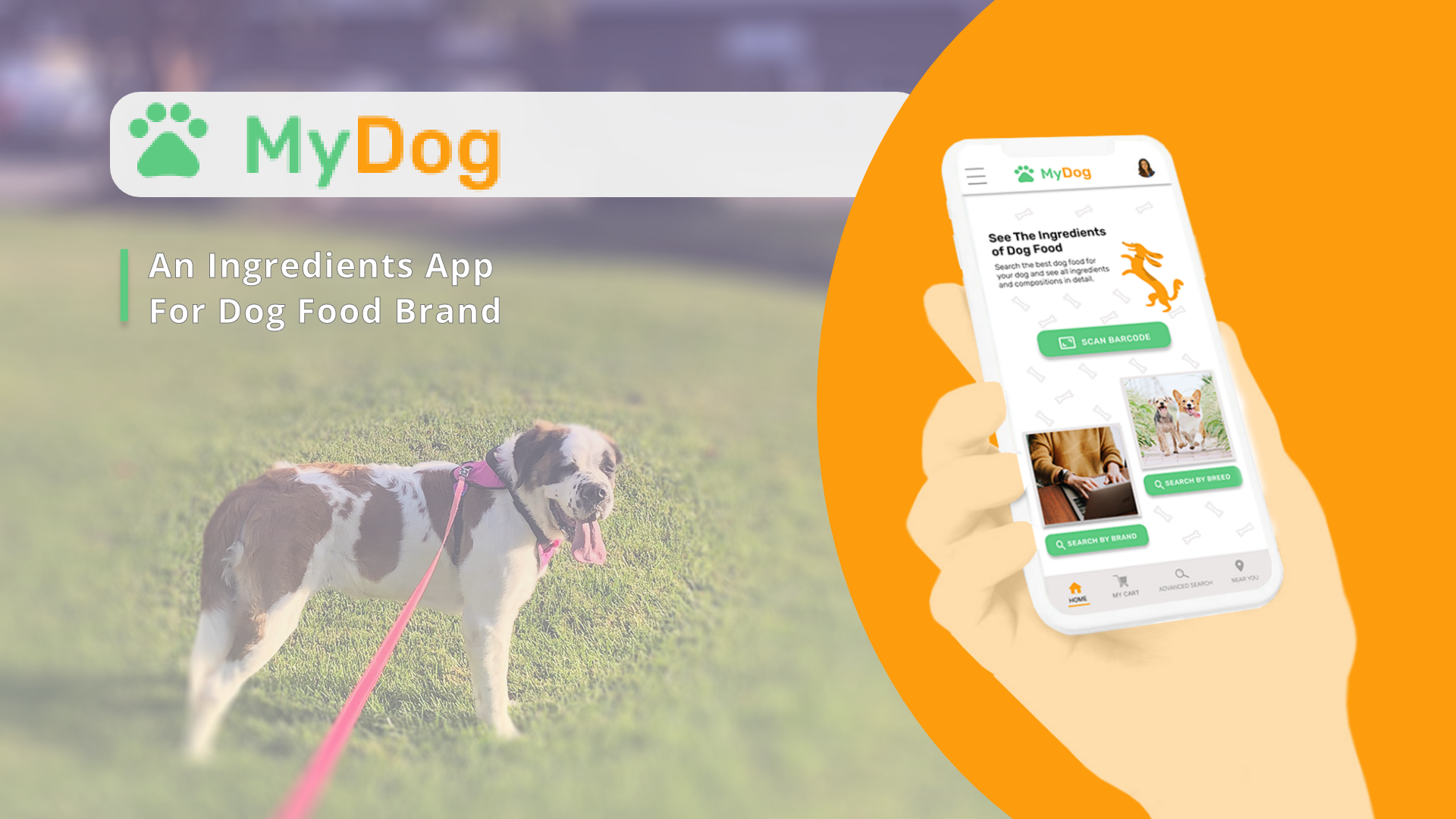 MyDog Mobile Application
